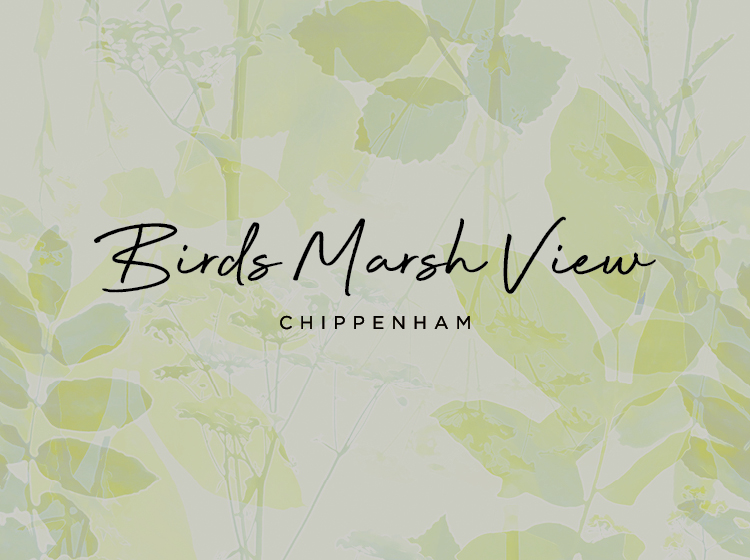 Bird's Marsh View, Chippenham